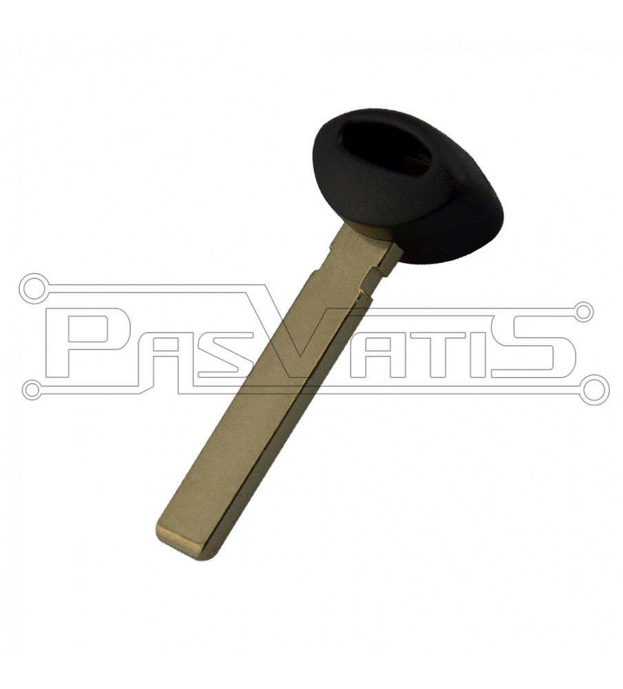 Mini λεπίδα έξυπνου τηλεχειριστηρίου CAS